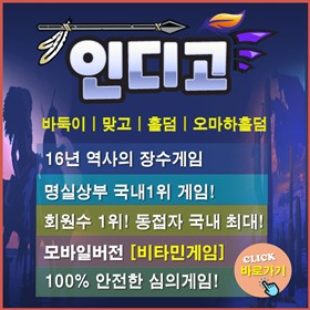 인디고게임설명.jpg